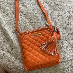 Purse cross body bag